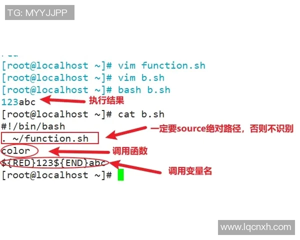 Dynamite滑铲进点的技巧与策略解析让你在游戏中轻松取胜